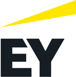 EY logosu